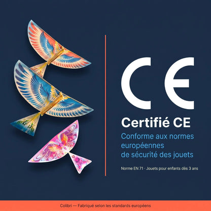 Colibri - Oiseau Volant a Ailes Battantes | Lot de 3 Ma boutique 2