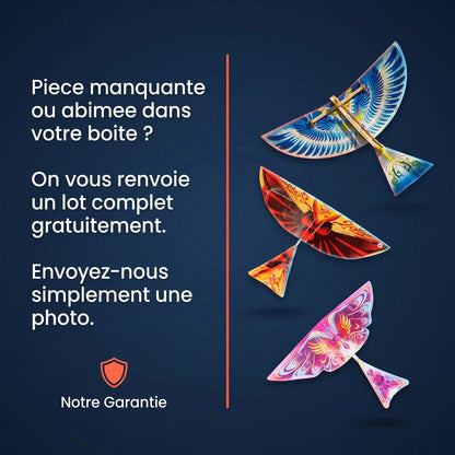 Colibri - Oiseau Volant a Ailes Battantes | Lot de 3 Ma boutique 2